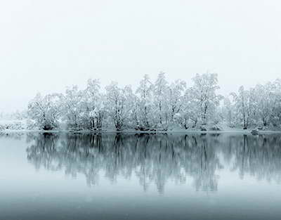 Boks Federasiyası lisenziya turnirindəki idmançıların nəticələrini niyə gizlədir?